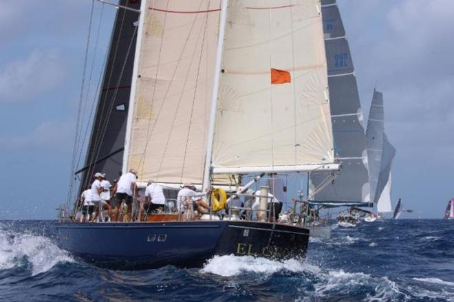 Such is the draw of the race, that 10 crew members of Dr Timothy Wilson's classic yacht, El Oro will be flying in from Australia: 